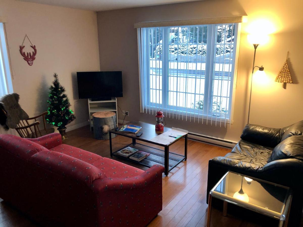 Le Chalet de Claude, au pied des Monts-Valin Saint-David-de-Falardeau Extérieur photo